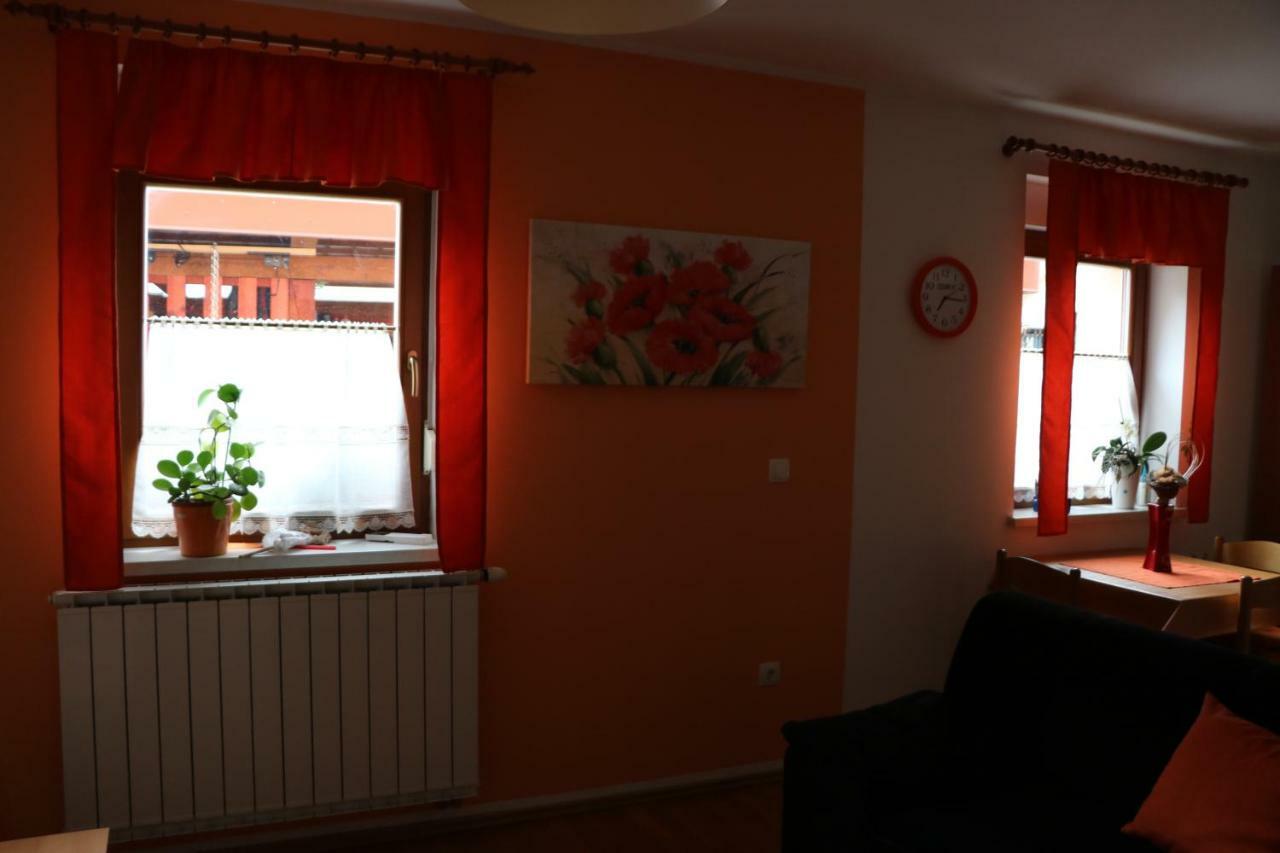 Apartma Na Vasi Apartment Zaga Exterior photo